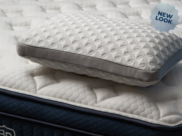Brooklyn Bedding Talalay Latex Pillow (Queen, High Profile) studio product photo