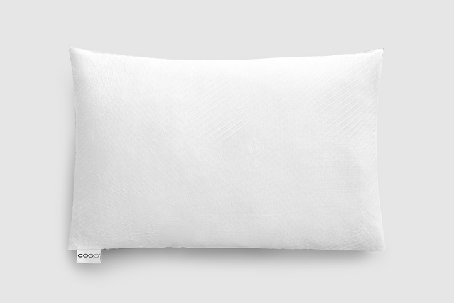 Coop Sleep Goods Cool+ Adjustable Pillow (Queen, Classic) studio product photo