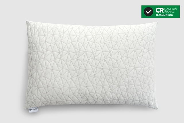 Coop Sleep Goods Original Adjustable Pillow (Queen, Classic) studio product photo